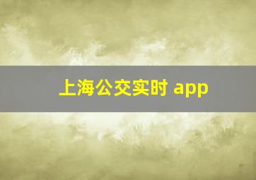 上海公交实时 app